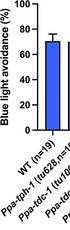 cGMP-dependent pathway and a GPCR kinase are required for photoresponse in the nematode Pristionchus pacificus