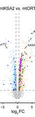 A naturally occurring mitochondrial genome variant confers broad protection from infection in Drosophila