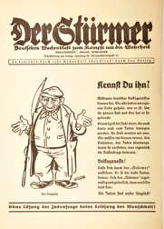 Der Stürmer flyer