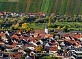 * Nomination: View of Escherndorf am Main from the wine island. --Ermell 06:38, 29 October 2024 (UTC) * Review  Comment Good photo, but the whole image seems to skew slightly to the right. ReneeWrites 10:26, 29 October 2024 (UTC)  DoneThanks for the review.--Ermell 22:10, 5 November 2024 (UTC) The new image is brightened, and it does look better, but it still looks skewed to me, sorry. ReneeWrites 16:49, 8 November 2024 (UTC)