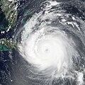 Terra image of Irma