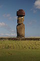 Moai Ko te Riku near Tahai.