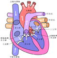 中文（繁體）