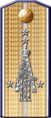 shoulder board 1908