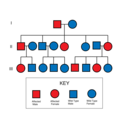 File:Heredity diagram for Liddle's syndrome.png