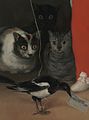 Detail of cats and magpie