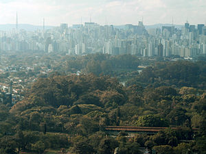 Parque Ibirapuera com Avenida Paulista