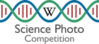 Russian Science Photo Competition 2018