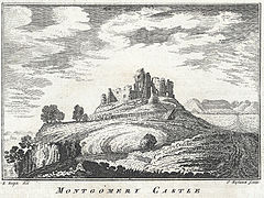 based on: Montgomery Castle 