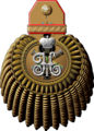 Reconstruction epaulettes of General-Admiral, General-adjutant