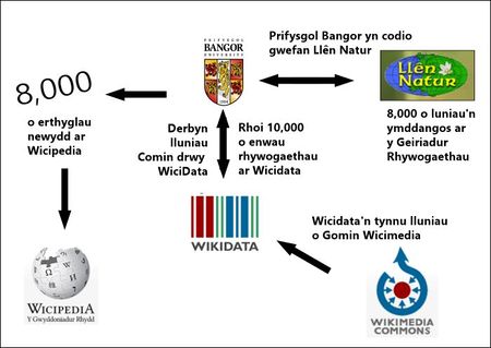 Graffig Cymraeg.JPG