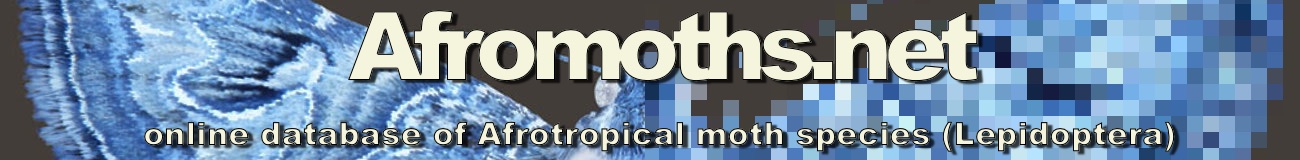 Afromoths.net