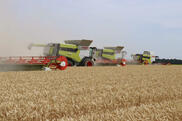 12 Claas Lexion dreschen in diesem Video von Farmhand Mike auf einer Farm in Colorado. (Symbolbild)