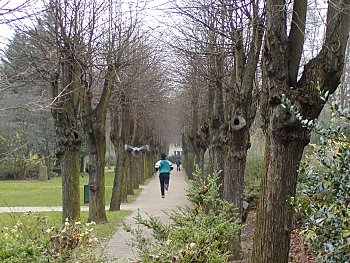 Bilder Hamburg Wohlerspark