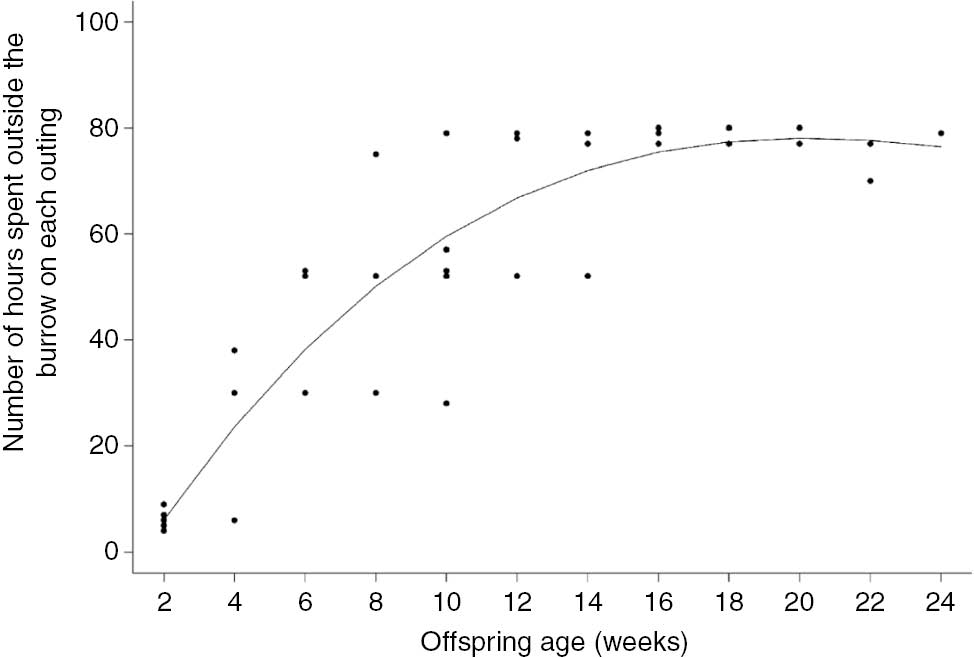 Figure 3: Time (hours) spent by an adult female outside the nesting burrow (i.e. away from its offspring), during each outing, according to its offspring’s age (2-week intervals).Data from one adult female giant armadillo Priodontes maximus (F4) monitored between July and December 2013 in the Nhecolândia sub-region of the Brazilian Pantanal (19° 16′ 60″ S, 55° 42′ 60″ W).