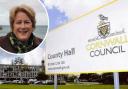 Linda Taylor says Cornwall Council's Conservative cabinet will 'put up a fight' at the next local elections