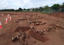 Human habitation dating back over 3,000 years have been discovered in Troon