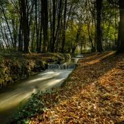 Making the most of the sunshine, by Steve Brickstock