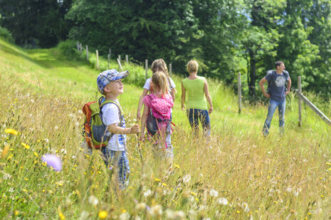 Familie wandert