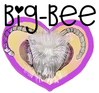 Big Bee