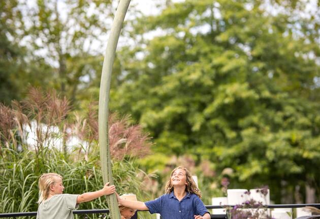 Spring in New Zealand is nothing short of magical, whether you’re seeking adventure travel, exploring nature, or looking for relaxation, it is the perfect time to visit.