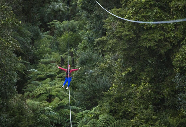 Discover the top 10 things to do in Aotearoa New Zealand during spring, including must-visit festivals, wildlife tours, scenic gardens, glaciers and more.