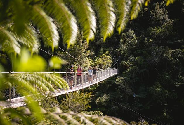 Hiking in New Zealand is the best way to immerse yourself in iconic natural beauty. Find out more about New Zealand's great walks and diverse New Zealand trails.