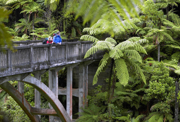 Whanganui (Wanganui) on the west coast of the North Island, New Zealand sits on the Whanganui River. Travel down the big river for which the city gets its name or tour by kayak, jetboat, or paddle steamer.