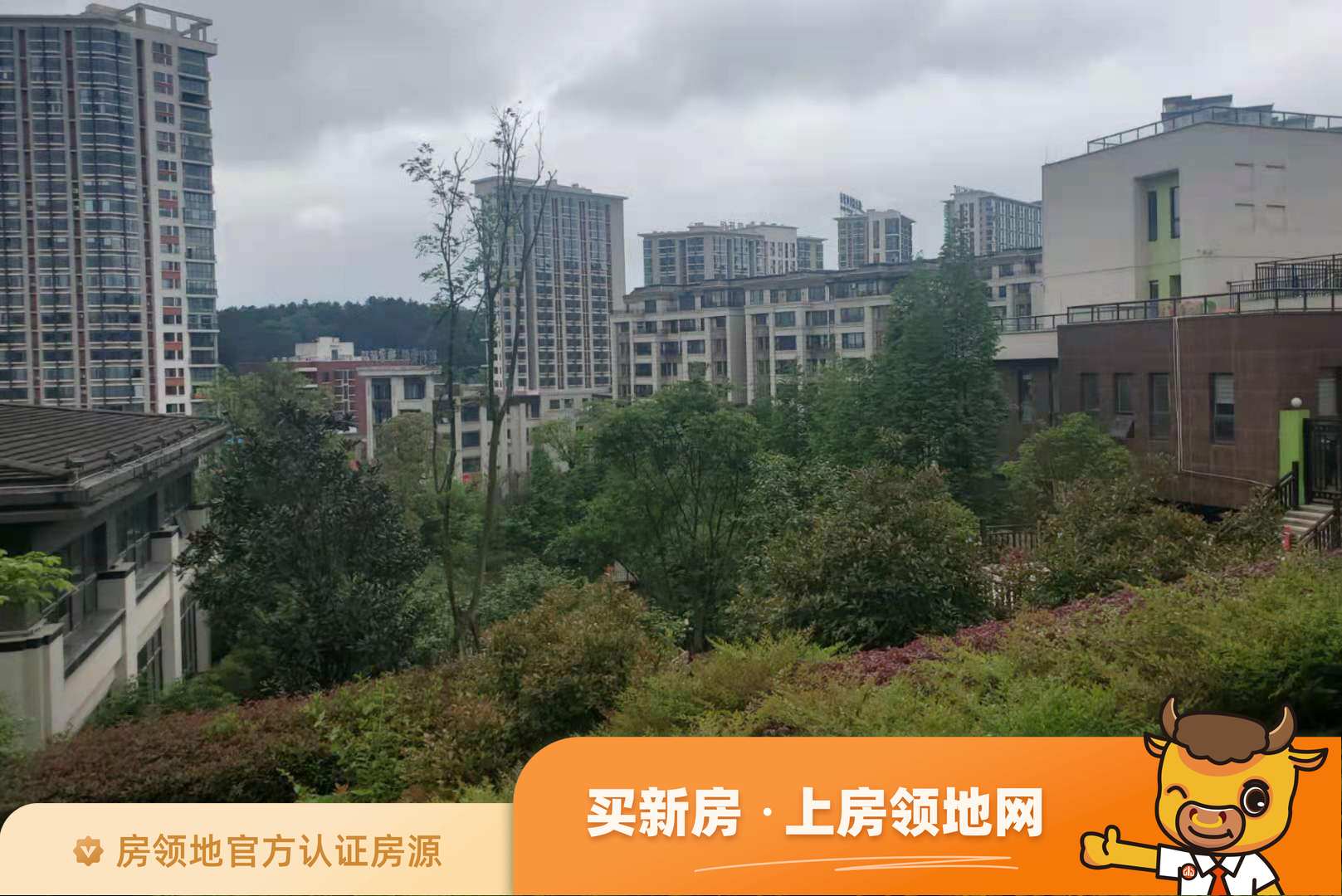 首开紫郡实景图8