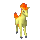 Ponyta