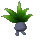 Oddish