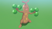 Brassius's Sudowoodo