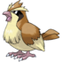 Pidgey