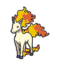 Rapidash