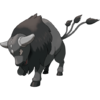 Tauros