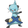 Dewott