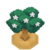 WatmelTreeBloomVI XY.png