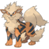 Arcanine