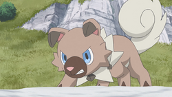 Murdock Rockruff.png