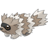 Zigzagoon