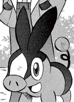 Cheren's Tepig