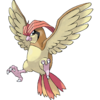 Pidgeotto