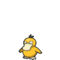 Psyduck