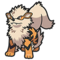 Arcanine