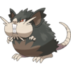 Raticate