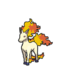 Rapidash