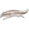 264Linoone.png