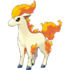 Ponyta