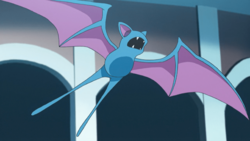 Rapp Zubat.png