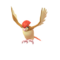 Pidgeotto